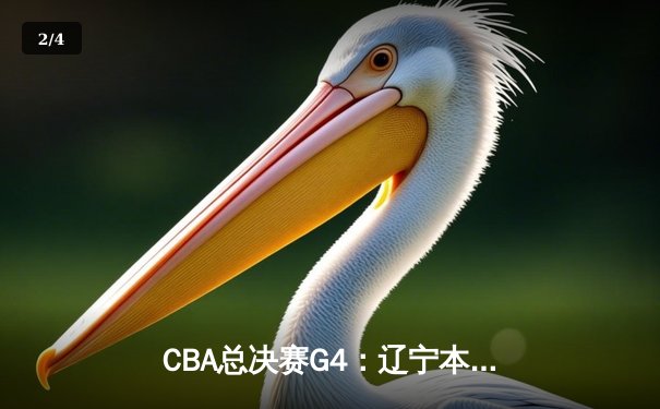 CBA总决赛G4：辽宁本钢客场逆转广东宏远，系列赛扳平比分 - 2